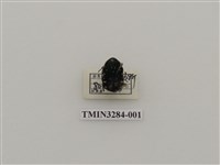 藏品(蘭嶼小綠花金龜)的圖片